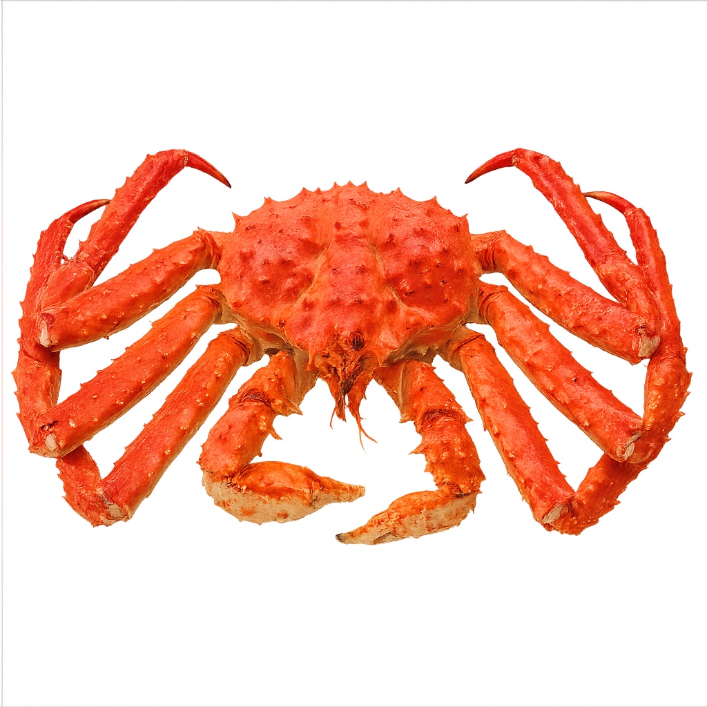 Centolla 01